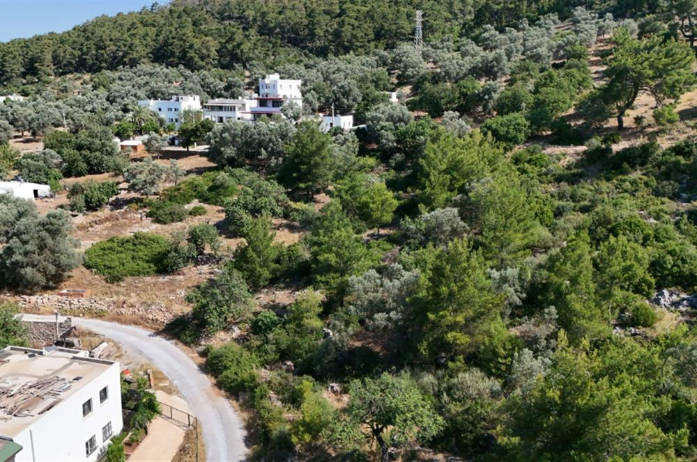 Bodrum Kızılağaç Mevkiinde 5.501 m2 lik Arsa