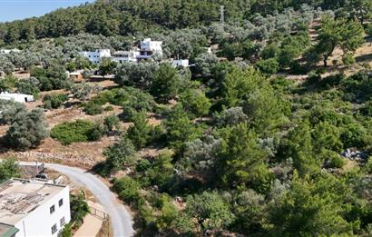 Bodrum Kızılağaç Mevkiinde 5.501 m2 lik Arsa