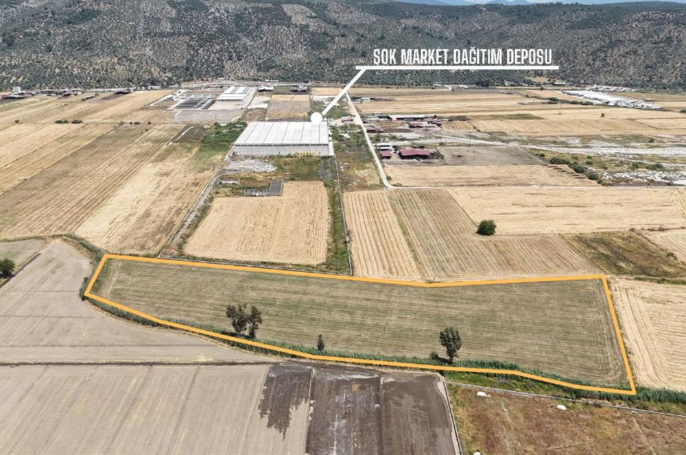 Milas Savran Köyü Satılık Arazi