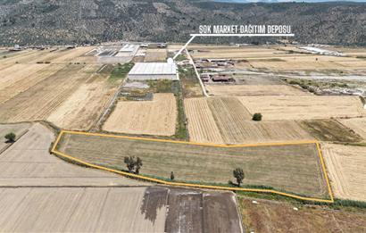 Milas Savran Köyü Satılık Arazi