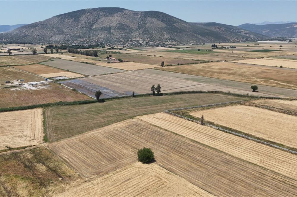 Milas Savran Köyü Satılık Arazi