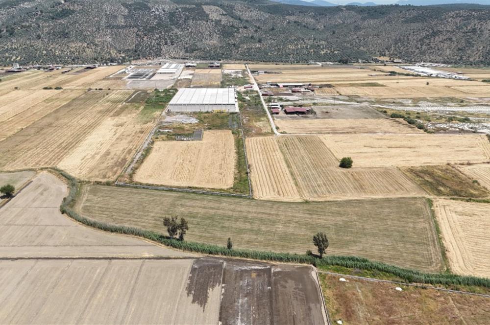 Milas Savran Köyü Satılık Arazi