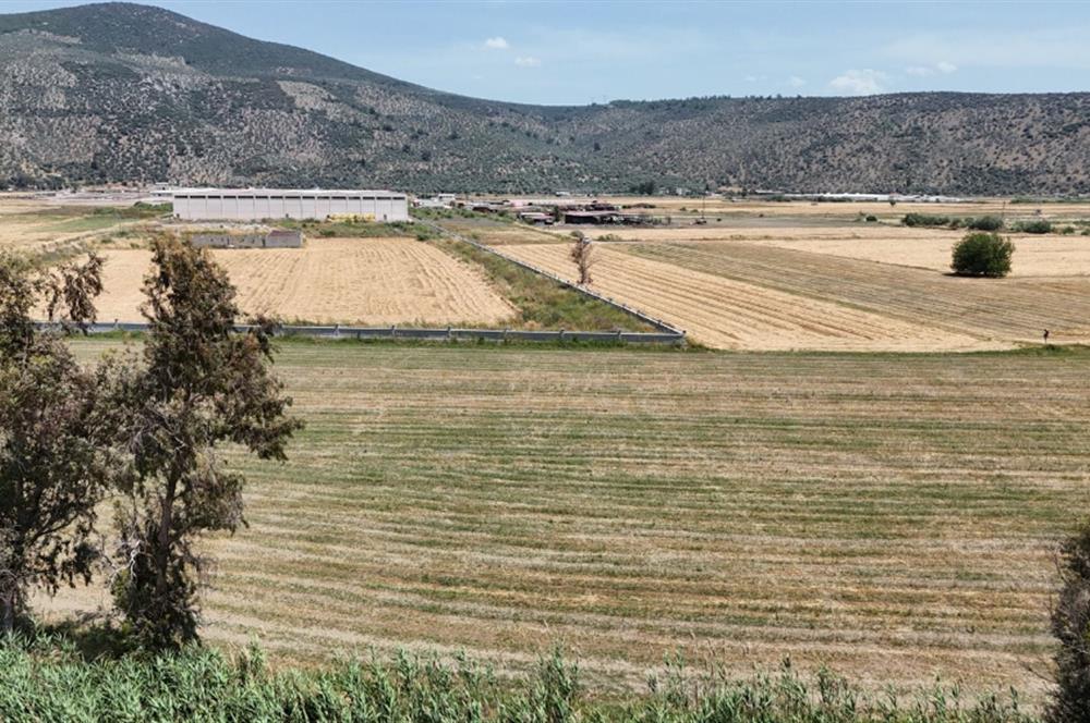 Milas Savran Köyü Satılık Arazi