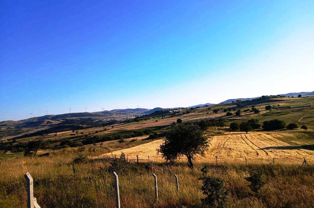 C21 LOCA'DAN BALIKESİR KARAKOL DA 1739M2 ACİL SATILIK TARLA