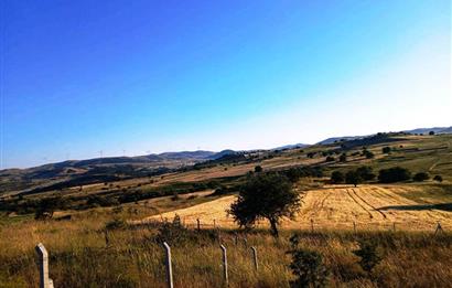 C21 LOCA'DAN BALIKESİR KARAKOL DA 1739M2 ACİL SATILIK TARLA