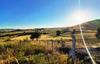 C21 LOCA'DAN BALIKESİR KARAKOL DA 1739M2 ACİL SATILIK TARLA