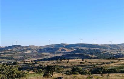 C21 LOCA'DAN BALIKESİR KARAKOL DA 1739M2 ACİL SATILIK TARLA