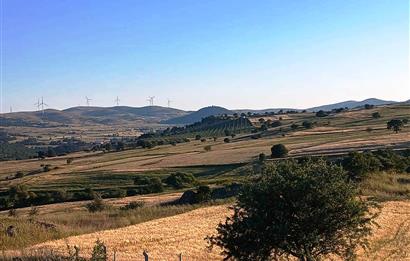 C21 LOCA'DAN BALIKESİR KARAKOL DA 1739M2 ACİL SATILIK TARLA