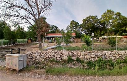 C21 LOCA'DAN DURSUNBEY SELİMAĞA'DA 1399 M2 SATILIK HOBİ BAHÇESİ