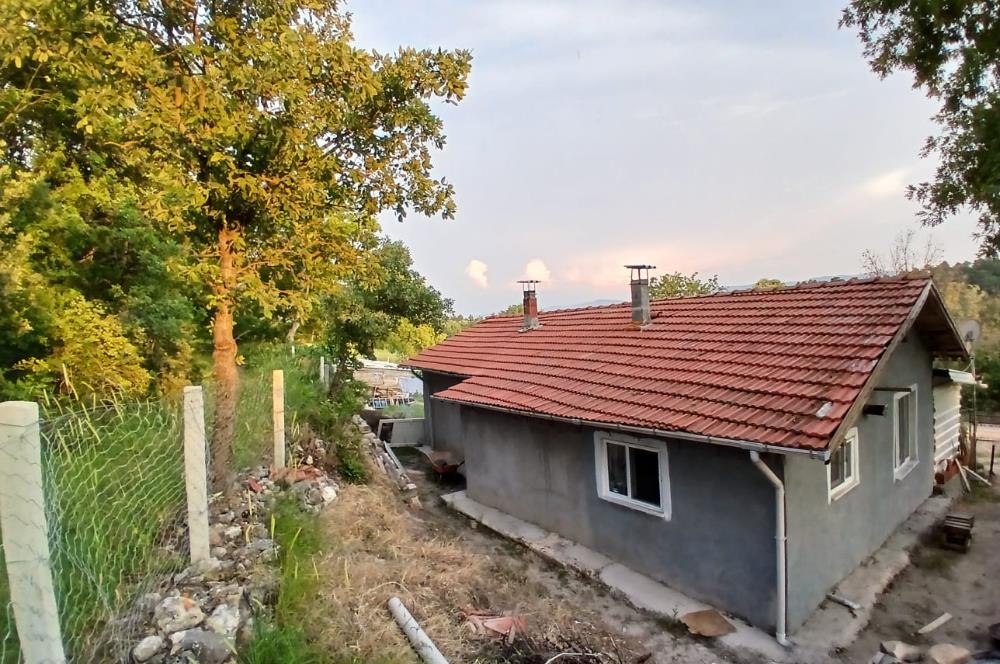 C21 LOCA'DAN DURSUNBEY SELİMAĞA'DA 1399 M2 SATILIK HOBİ BAHÇESİ