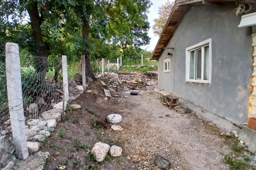 C21 LOCA'DAN DURSUNBEY SELİMAĞA'DA 1399 M2 SATILIK HOBİ BAHÇESİ