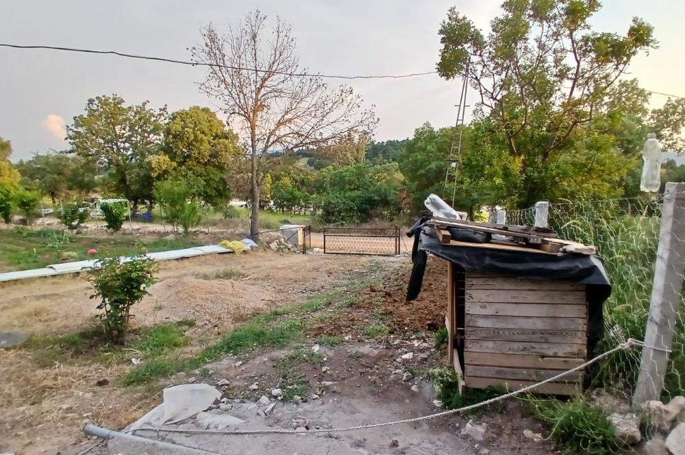C21 LOCA'DAN DURSUNBEY SELİMAĞA'DA 1399 M2 SATILIK HOBİ BAHÇESİ