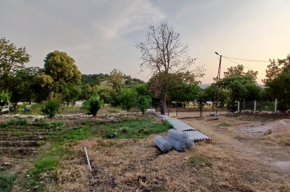C21 LOCA'DAN DURSUNBEY SELİMAĞA'DA 1399 M2 SATILIK HOBİ BAHÇESİ