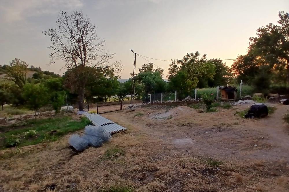 C21 LOCA'DAN DURSUNBEY SELİMAĞA'DA 1399 M2 SATILIK HOBİ BAHÇESİ