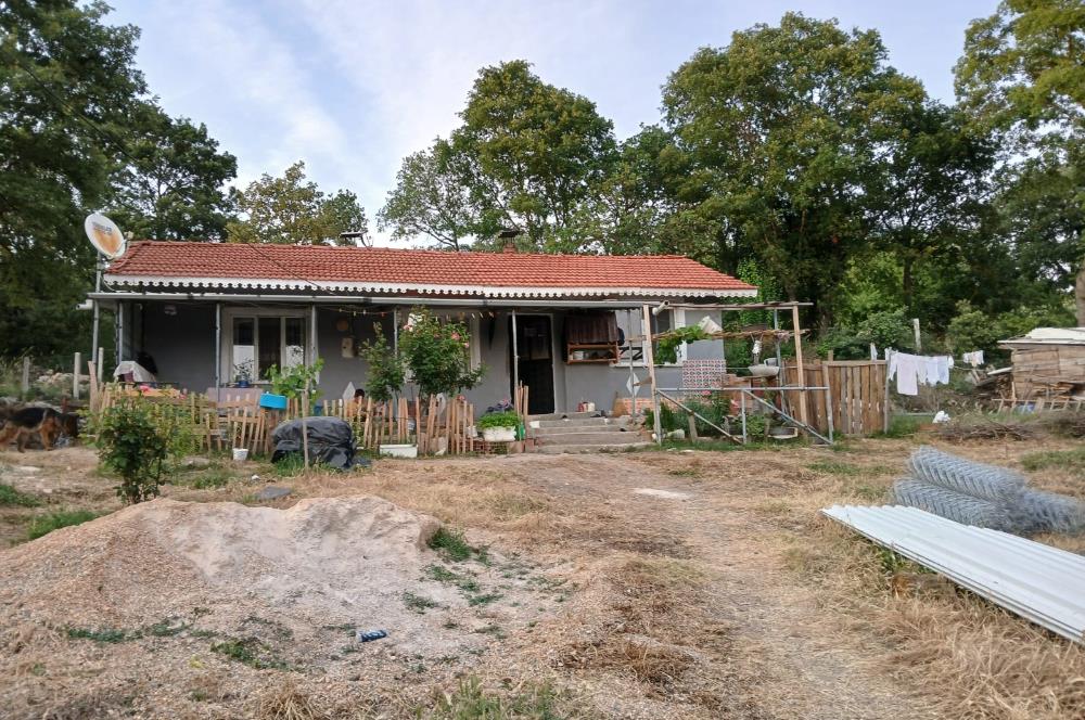 C21 LOCA'DAN DURSUNBEY SELİMAĞA'DA 1399 M2 SATILIK HOBİ BAHÇESİ