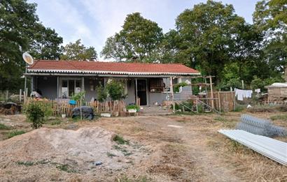 C21 LOCA'DAN DURSUNBEY SELİMAĞA'DA 1399 M2 SATILIK HOBİ BAHÇESİ