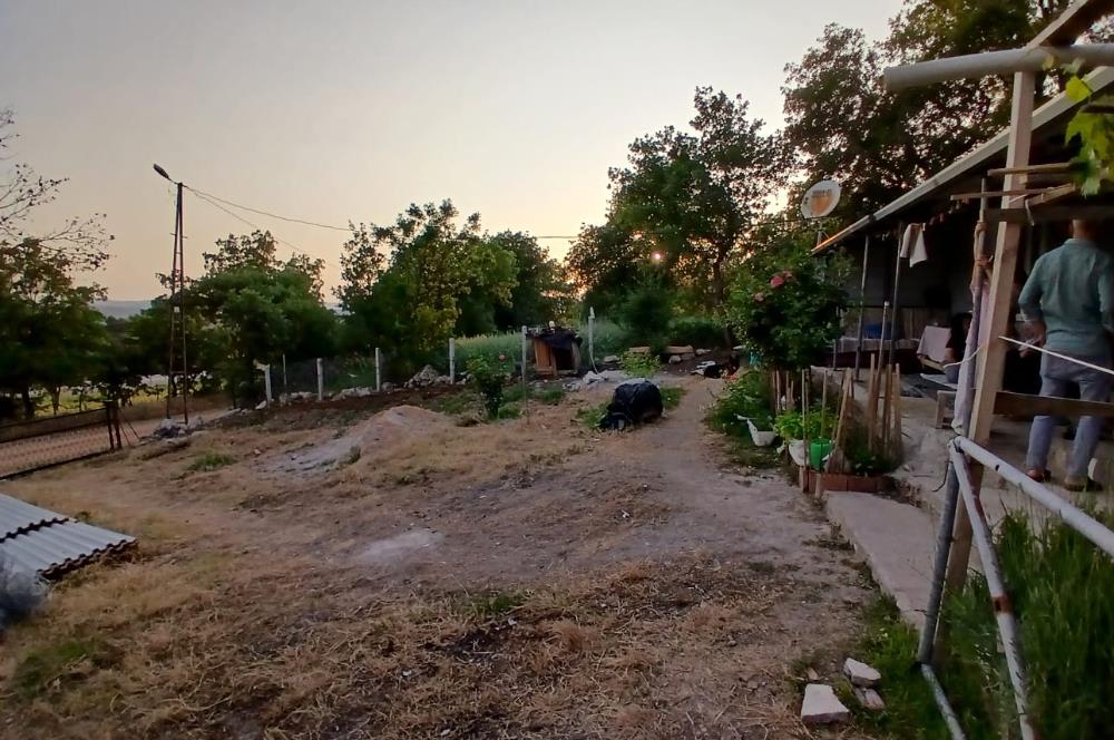 C21 LOCA'DAN DURSUNBEY SELİMAĞA'DA 1399 M2 SATILIK HOBİ BAHÇESİ