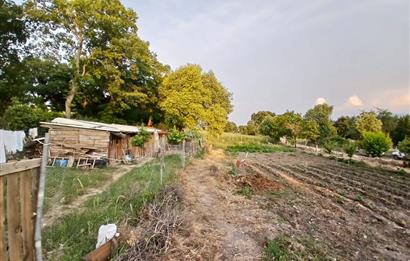 C21 LOCA'DAN DURSUNBEY SELİMAĞA'DA 1399 M2 SATILIK HOBİ BAHÇESİ