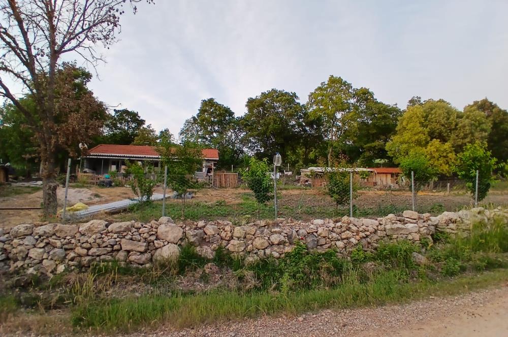 C21 LOCA'DAN DURSUNBEY SELİMAĞA'DA 1399 M2 SATILIK HOBİ BAHÇESİ