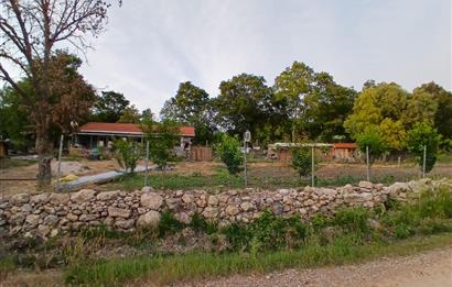 C21 LOCA'DAN DURSUNBEY SELİMAĞA'DA 1399 M2 SATILIK HOBİ BAHÇESİ