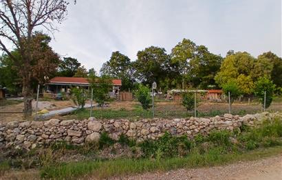 C21 LOCA'DAN DURSUNBEY SELİMAĞA'DA 1399 M2 SATILIK HOBİ BAHÇESİ