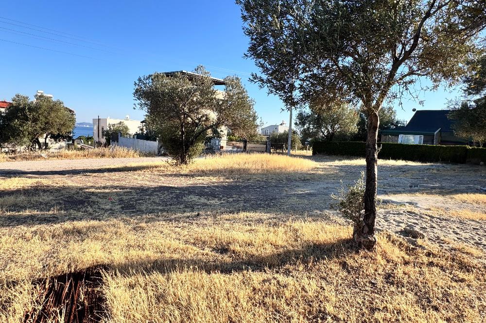 CENTURY21 UZMANDAN ÇANDARLI VİLLA İMARLI ARSA
