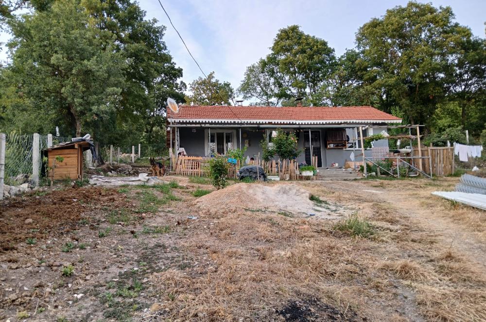 C21 LOCA'DAN DURSUNBEY SELİMAĞA'DA 1399 M2 SATILIK HOBİ BAHÇESİ