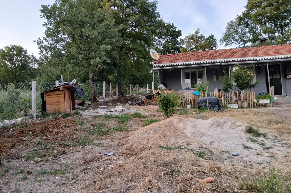 C21 LOCA'DAN DURSUNBEY SELİMAĞA'DA 1399 M2 SATILIK HOBİ BAHÇESİ