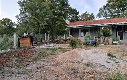 C21 LOCA'DAN DURSUNBEY SELİMAĞA'DA 1399 M2 SATILIK HOBİ BAHÇESİ