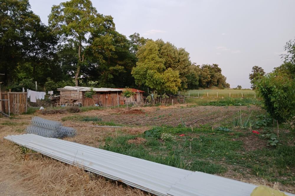 C21 LOCA'DAN DURSUNBEY SELİMAĞA'DA 1399 M2 SATILIK HOBİ BAHÇESİ
