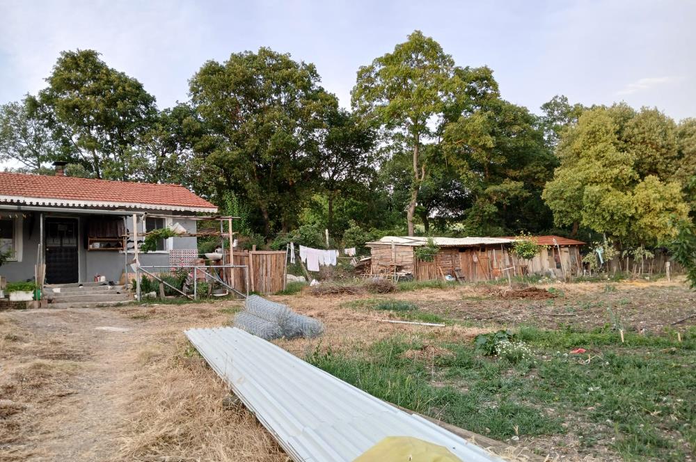 C21 LOCA'DAN DURSUNBEY SELİMAĞA'DA 1399 M2 SATILIK HOBİ BAHÇESİ