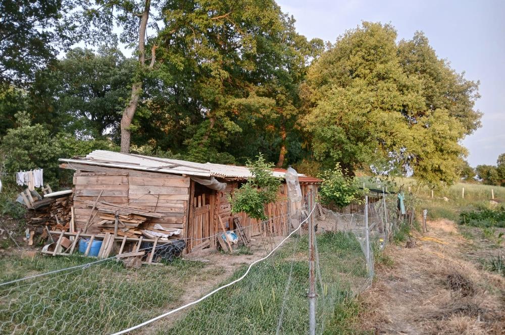 C21 LOCA'DAN DURSUNBEY SELİMAĞA'DA 1399 M2 SATILIK HOBİ BAHÇESİ