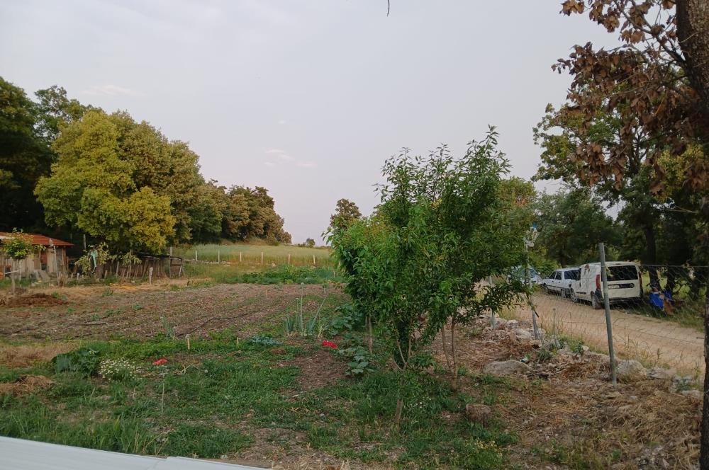 C21 LOCA'DAN DURSUNBEY SELİMAĞA'DA 1399 M2 SATILIK HOBİ BAHÇESİ
