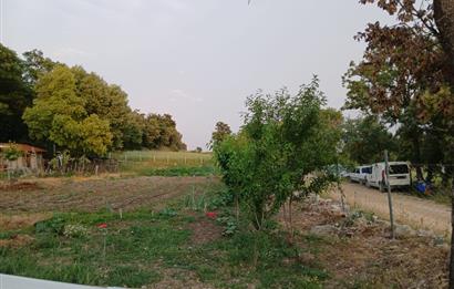 C21 LOCA'DAN DURSUNBEY SELİMAĞA'DA 1399 M2 SATILIK HOBİ BAHÇESİ