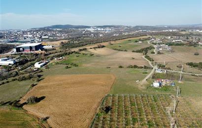 5.800 m² 4 Kat Konut İmarlı Arsa Gebze Pelitli Bağlar Düzünde