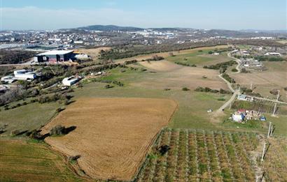 5.800 m² 4 Kat Konut İmarlı Arsa Gebze Pelitli Bağlar Düzünde