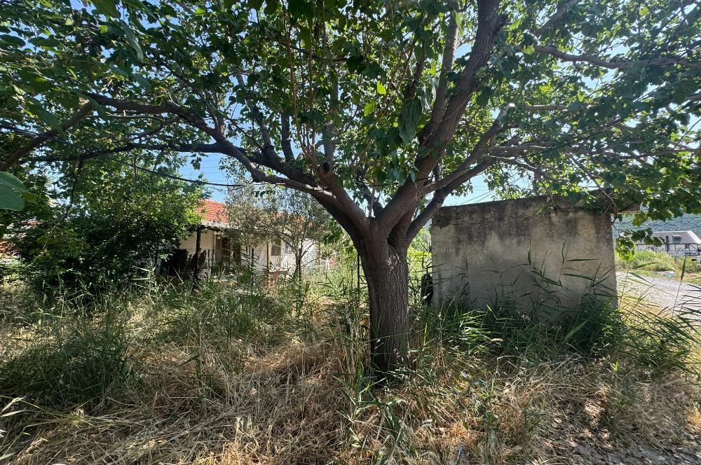 Urla İçmeler'de Denize Yakın 0.30 Emsalli Satılık Arsa