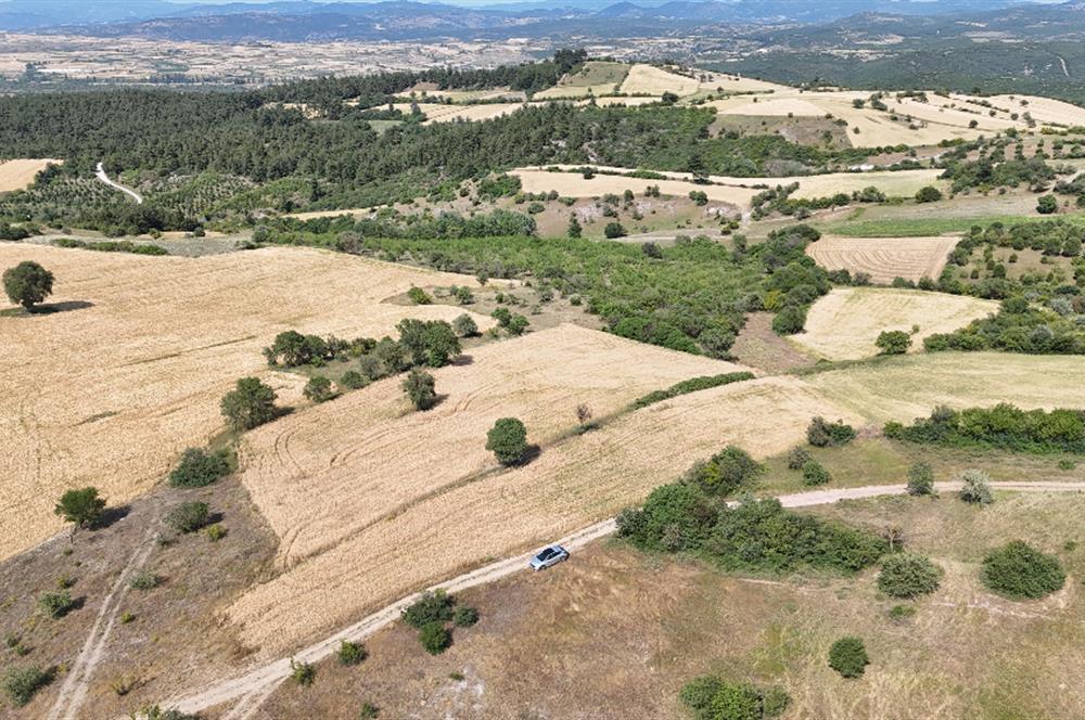 C21 WİNNER OVABAYINDIR'DA 11.605m² SATILIK TARLA