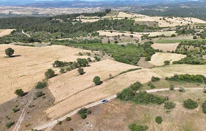 C21 WİNNER OVABAYINDIR'DA 11.605m² SATILIK TARLA