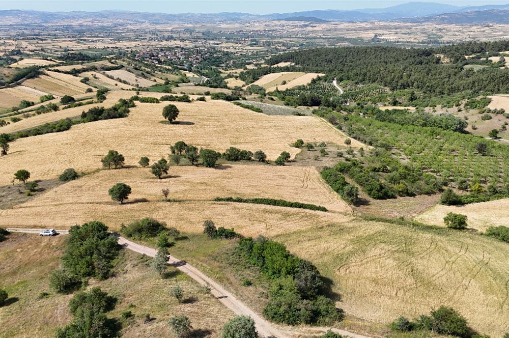 C21 WİNNER OVABAYINDIR'DA 11.605m² SATILIK TARLA
