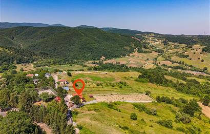 YALOVA ALTINOVADA 4825 M2 ARSA İÇİNDE SATILIK ÖZEL BİR VİLLA