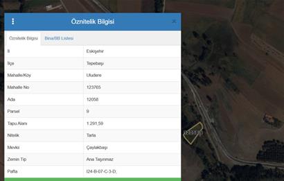 CENTURY 21 VİZYONDAN ULUDERE MAHALLESİNDE 1291 M2 SATILIK TARLA