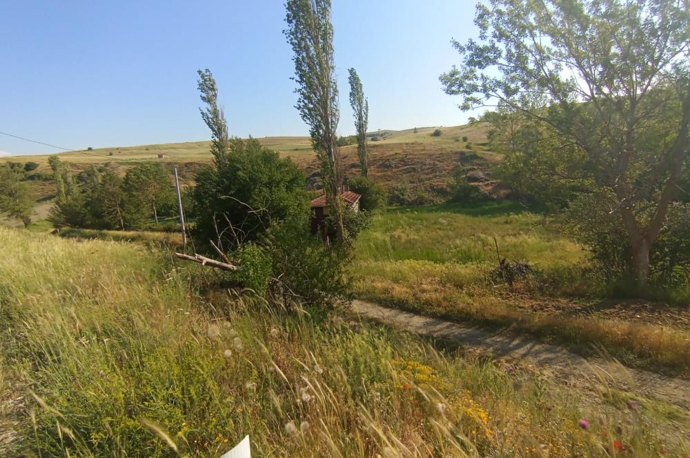 CENTURY 21 VİZYONDAN ULUDERE MAHALLESİNDE 1291 M2 SATILIK TARLA