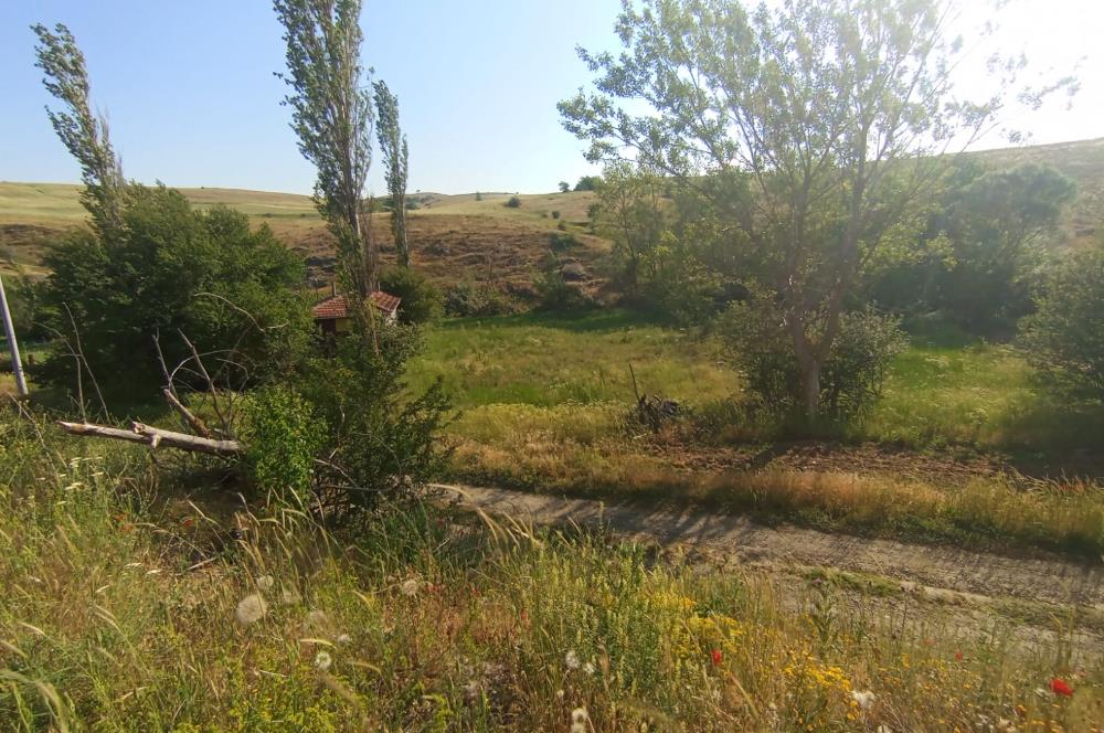 CENTURY 21 VİZYONDAN ULUDERE MAHALLESİNDE 1291 M2 SATILIK TARLA