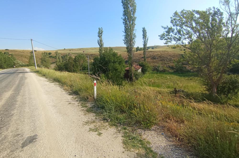 CENTURY 21 VİZYONDAN ULUDERE MAHALLESİNDE 1291 M2 SATILIK TARLA