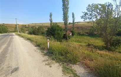 CENTURY 21 VİZYONDAN ULUDERE MAHALLESİNDE 1291 M2 SATILIK TARLA