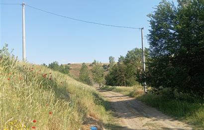 CENTURY 21 VİZYONDAN ULUDERE MAHALLESİNDE 1291 M2 SATILIK TARLA