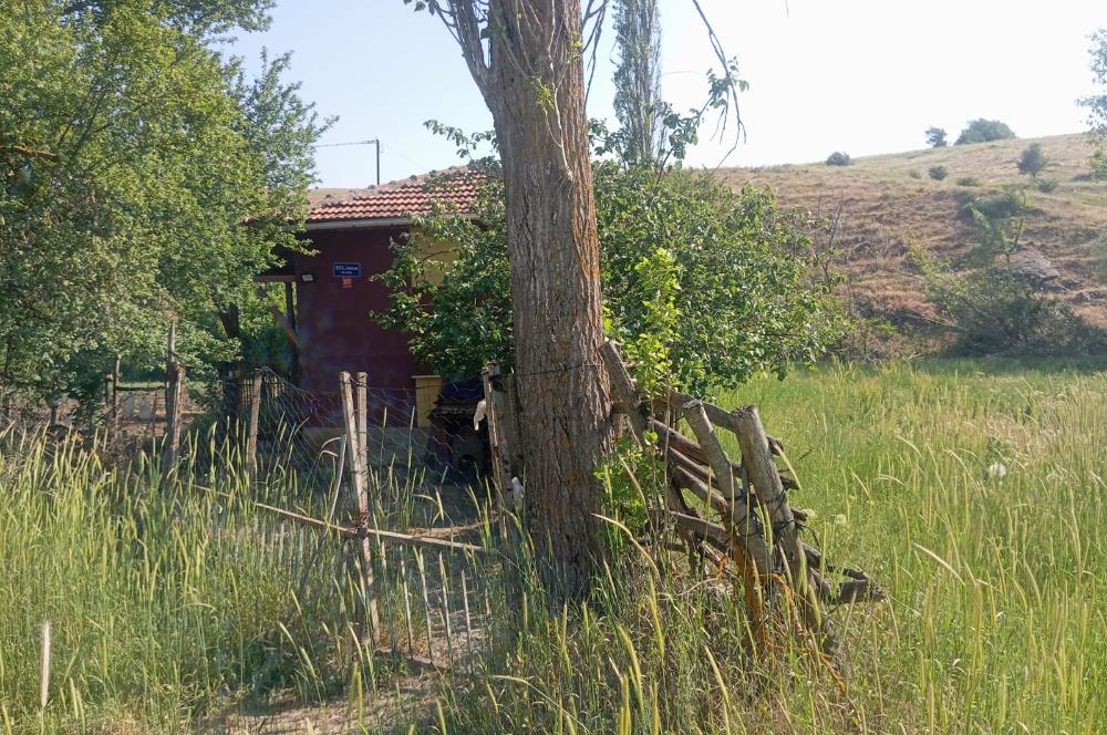 CENTURY 21 VİZYONDAN ULUDERE MAHALLESİNDE 1291 M2 SATILIK TARLA