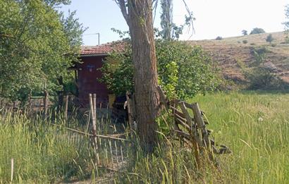 CENTURY 21 VİZYONDAN ULUDERE MAHALLESİNDE 1291 M2 SATILIK TARLA