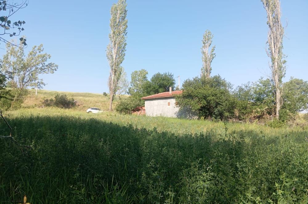 CENTURY 21 VİZYONDAN ULUDERE MAHALLESİNDE 1291 M2 SATILIK TARLA